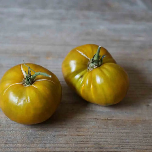 Graines de tomate green velvet bio – La Ferme de Sainte Marthe
