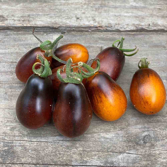 Graines de tomate indigo pear drops bio – La Ferme de Sainte Marthe