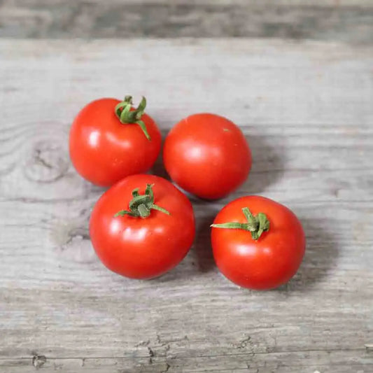 Graines de tomate maja bio – La Ferme de Sainte Marthe