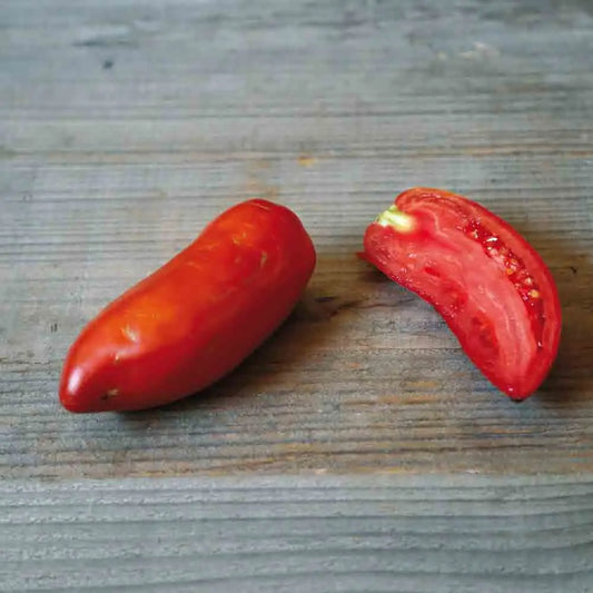 Graines de tomate opalka bio – La Ferme de Sainte Marthe
