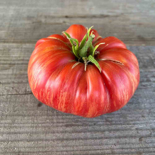Graines de tomate pink jazz bio – La Ferme de Sainte Marthe