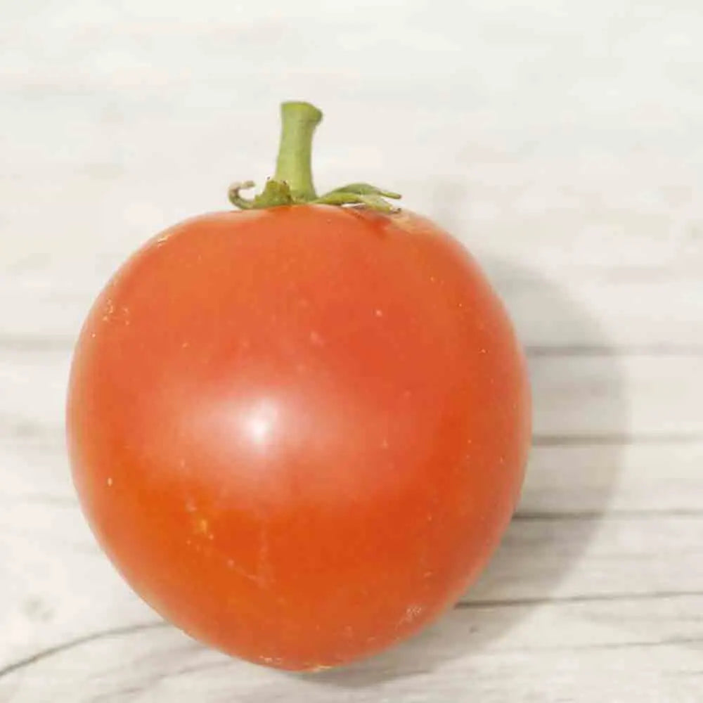 Graines de tomate pomme rouge bio – La Ferme de Sainte Marthe