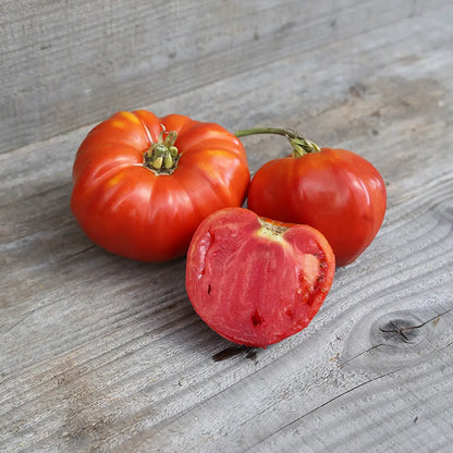 Graines de tomate rouge de corse bio – La Ferme de Sainte Marthe