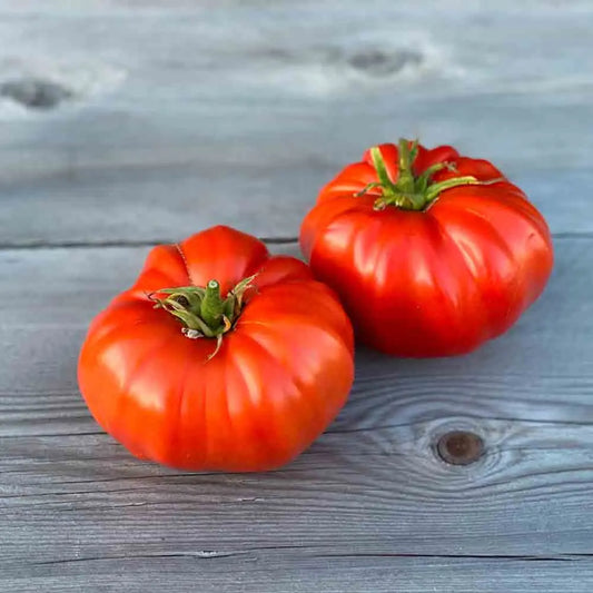 Graines de tomate russe bio – La Ferme de Sainte Marthe