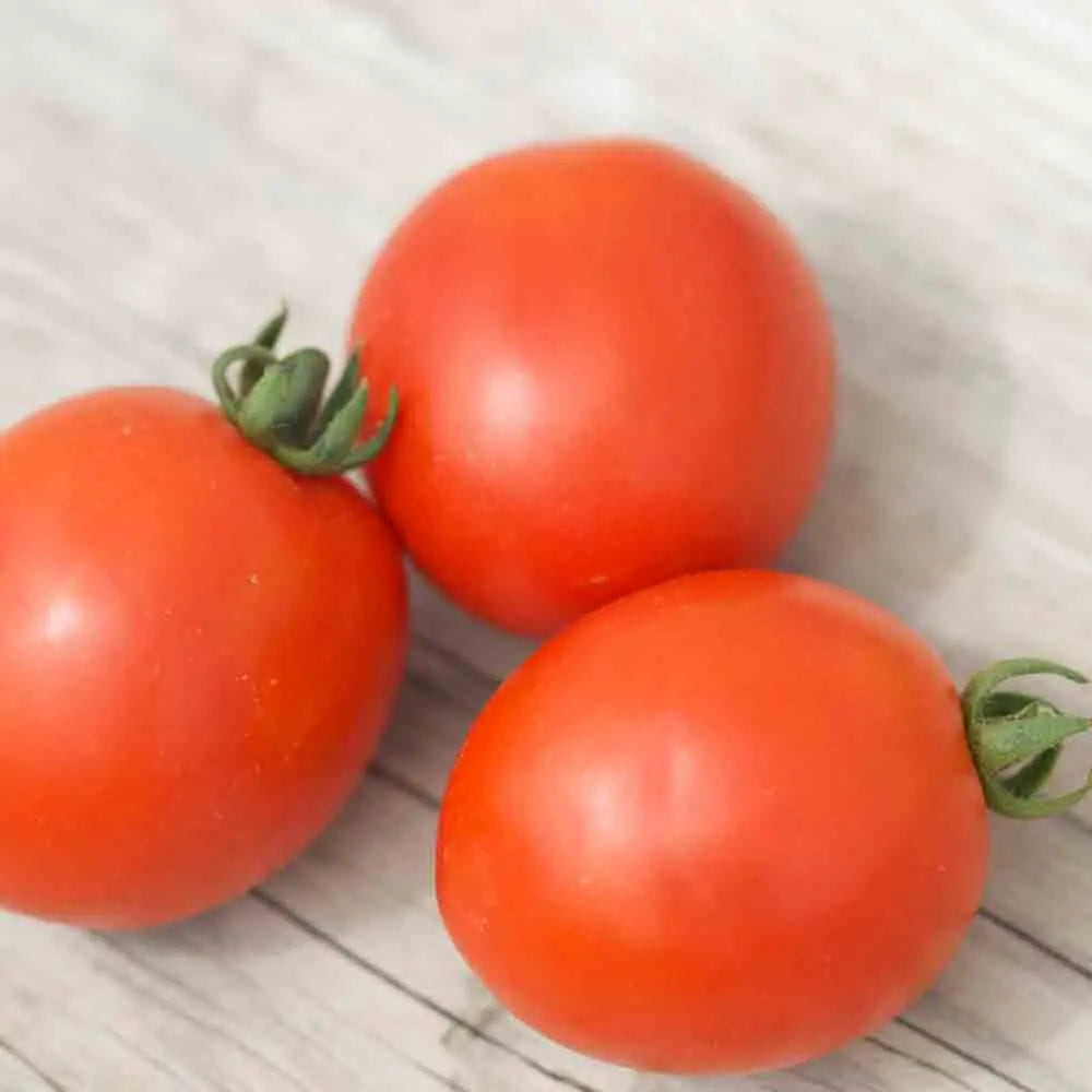 Graines de tomate siberian bio – La Ferme de Sainte Marthe