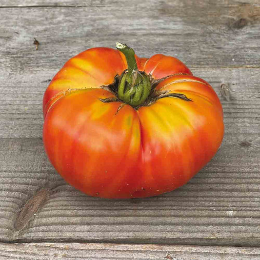 Graines de tomate striped german bio – La Ferme de Sainte Marthe