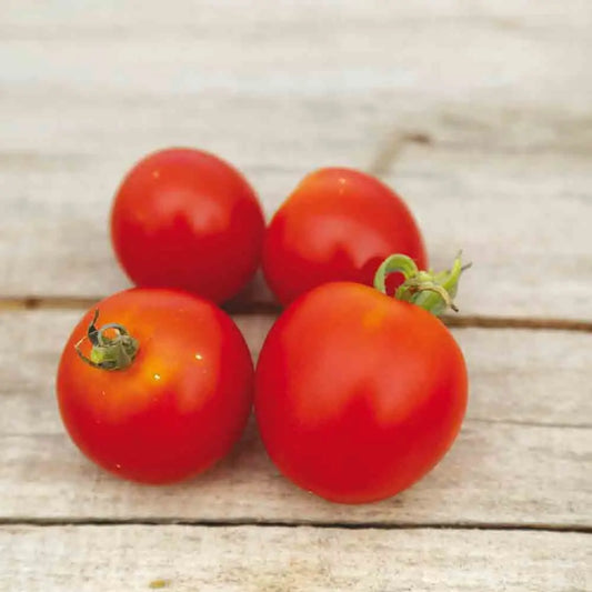 Graines de tomate stupice – La Ferme de Sainte Marthe