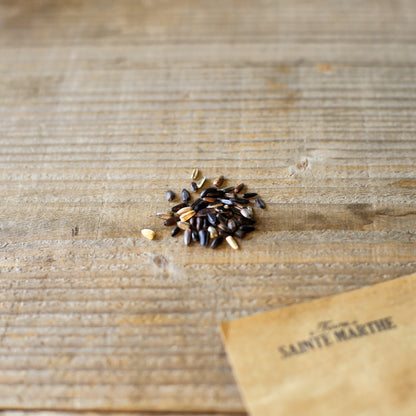 Graines de tournesol autumn beauty bio – La Ferme de Sainte Marthe