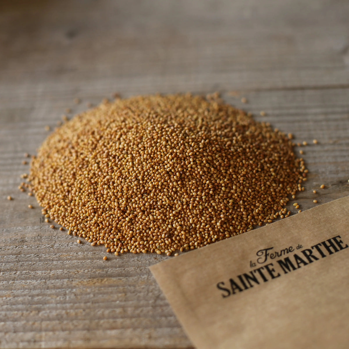 Graines de trèfle blanc bio – La Ferme de Sainte Marthe