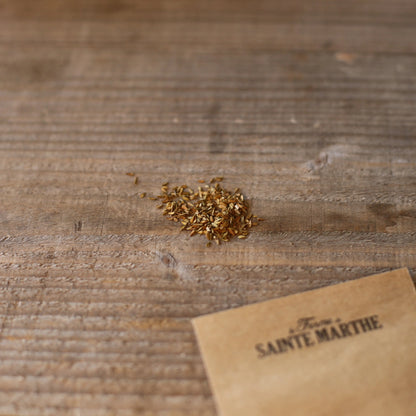 Graines de valériane officinale bio – La Ferme de Sainte Marthe