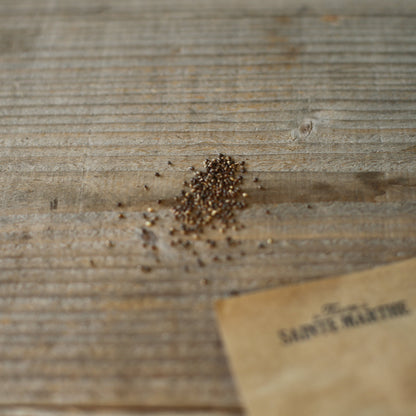 Graines de violette odorante – La Ferme de Sainte Marthe