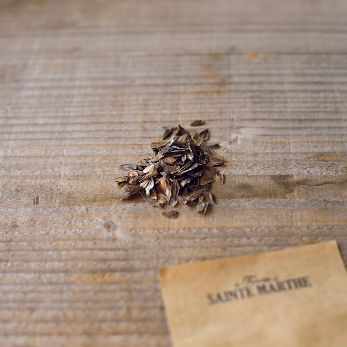 Graines de zinnia – La Ferme de Sainte Marthe