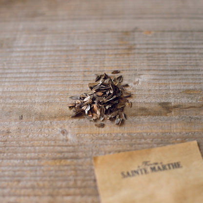 Graines de zinnia – La Ferme de Sainte Marthe